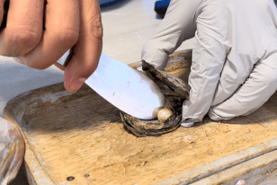 a man cutting food on a table