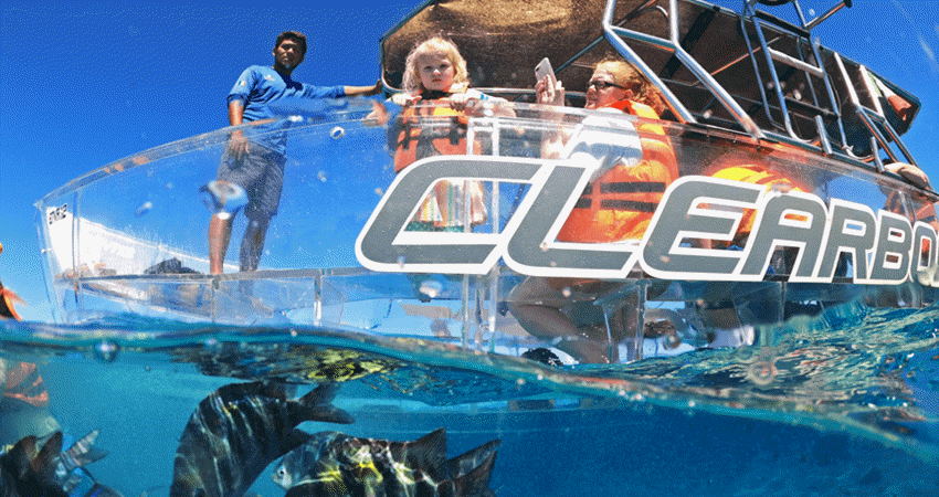 a group of people swimming in a pool of water