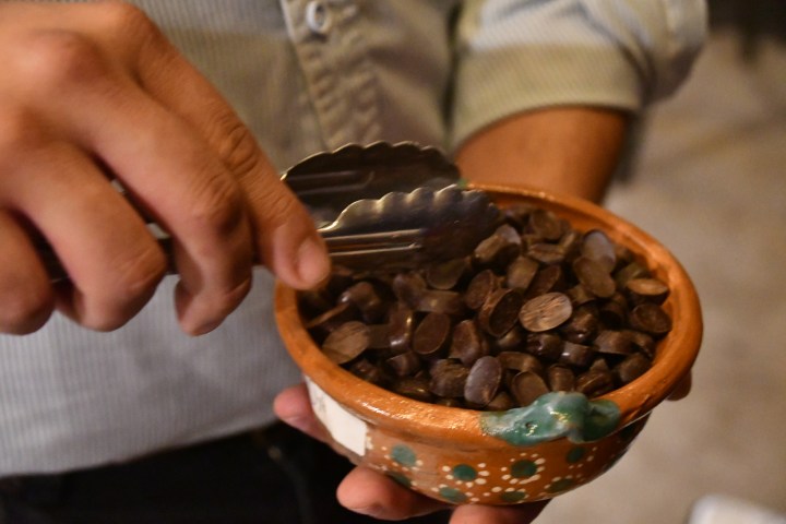 a close up of a person cutting a piece of food