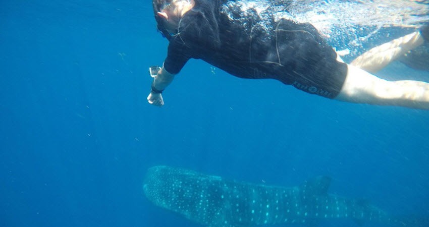 a man swimming in a body of water